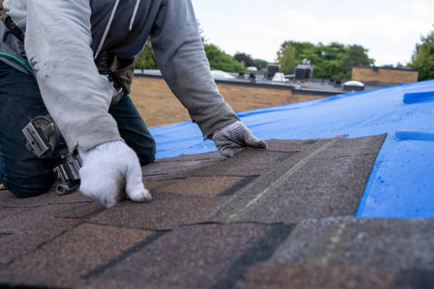 Best Roof Repair Services  in Hollis, OK