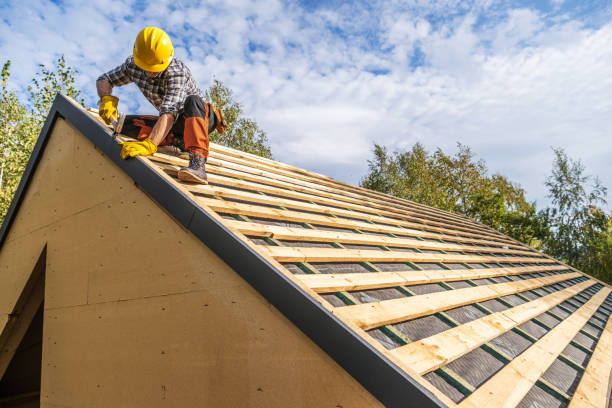 Best Roof Gutter Cleaning  in Hollis, OK