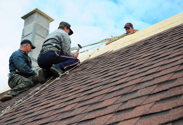 Best Best Roofing Contractors  in Hollis, OK
